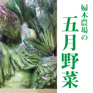 5月野菜セット