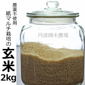紙マルチ栽培のコシヒカリ玄米2Kg