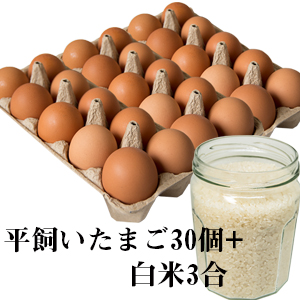 タマゴ30個と白米
