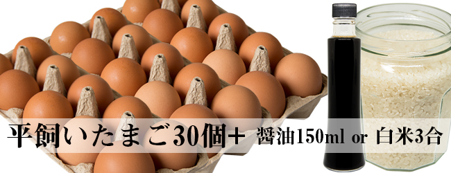 正月タマゴセット